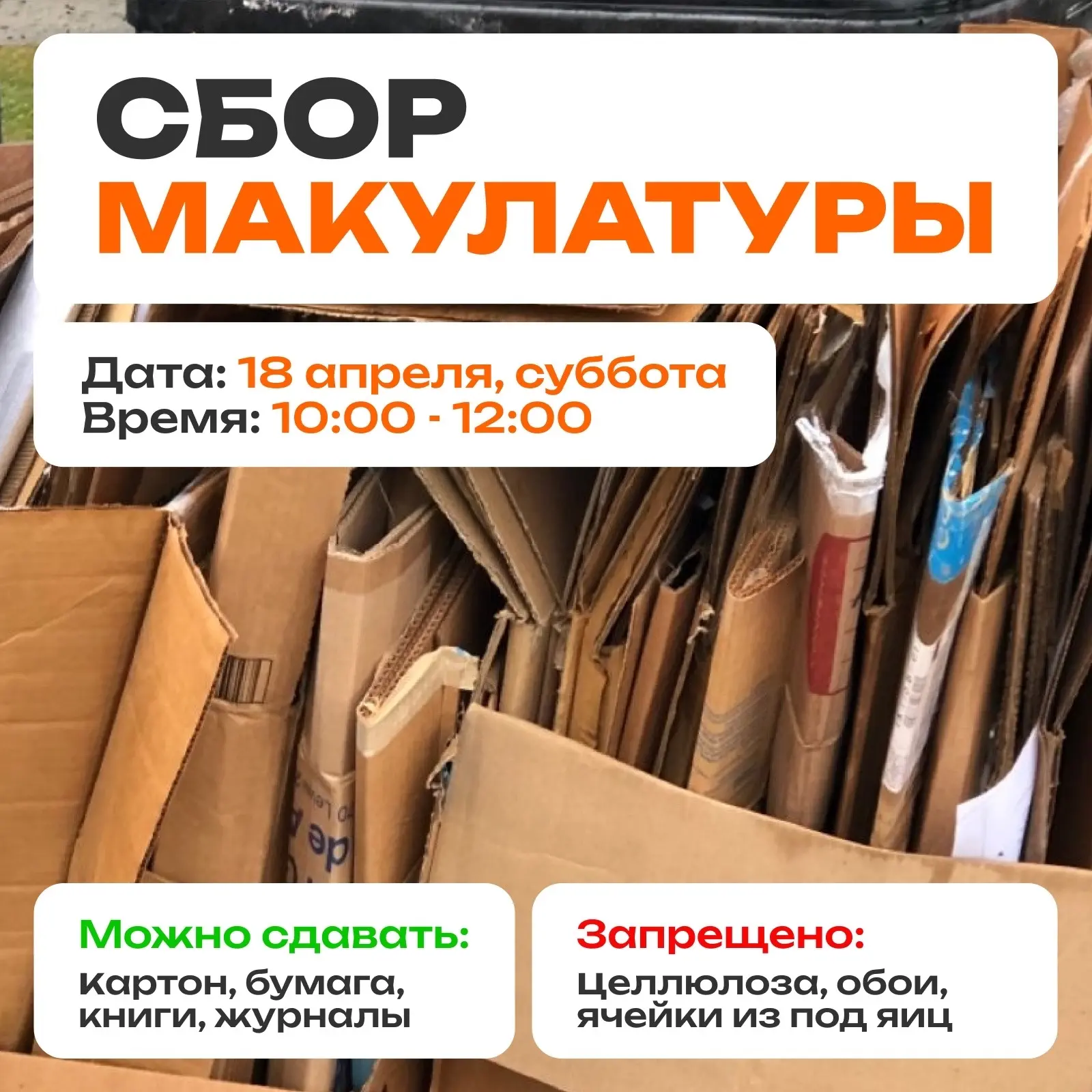 СБОР МАКУЛАТУРЫ♻️