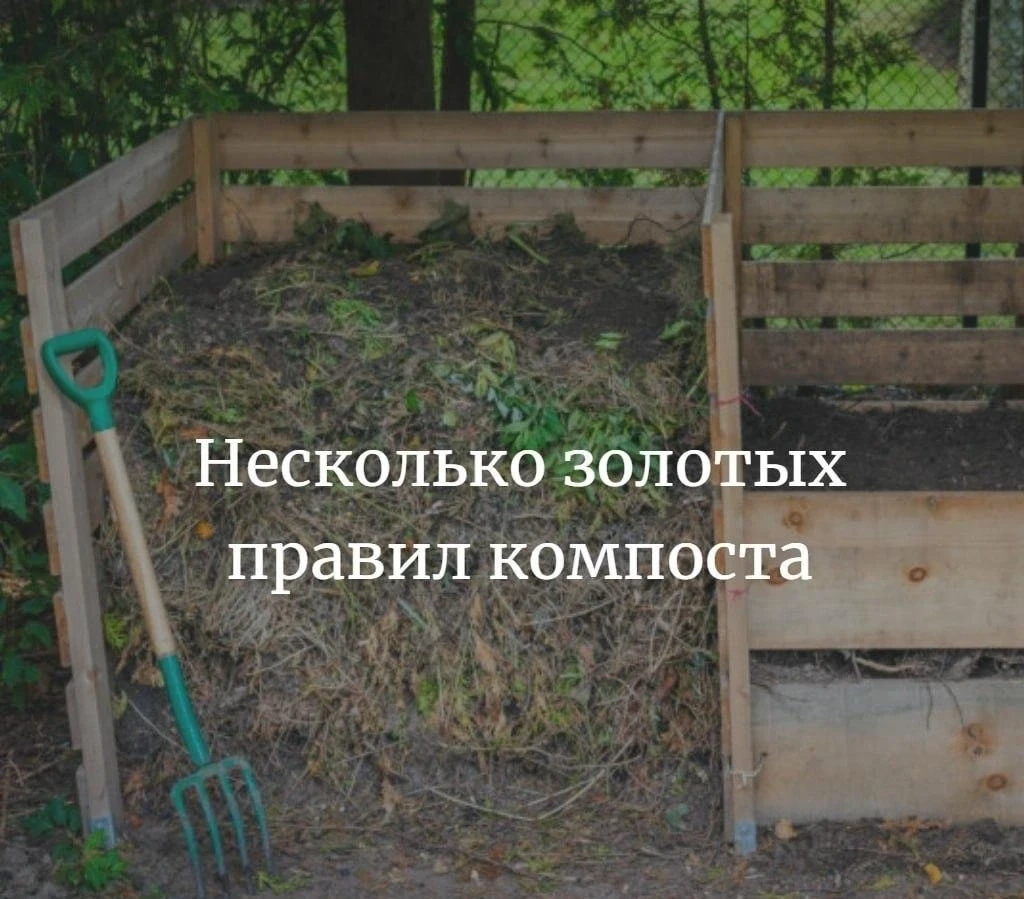 Несколько золотых правил компоста 
 
✅Чередование слоев 
Материалы делят на 2 большие группы: углеро