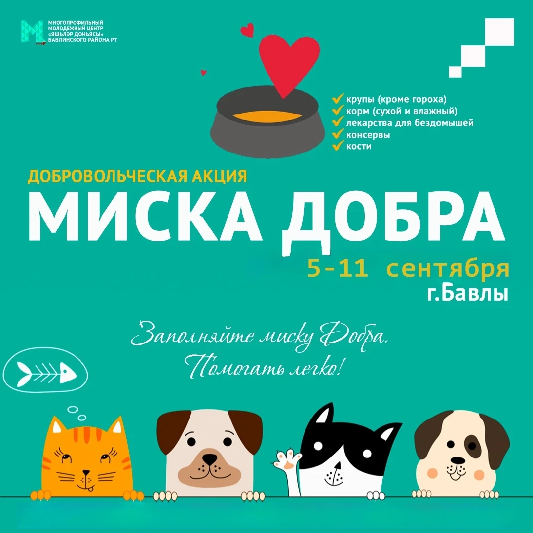 В Международный день благотворительности в Бавлах стартует акция «Миска добра» 🐈🐕