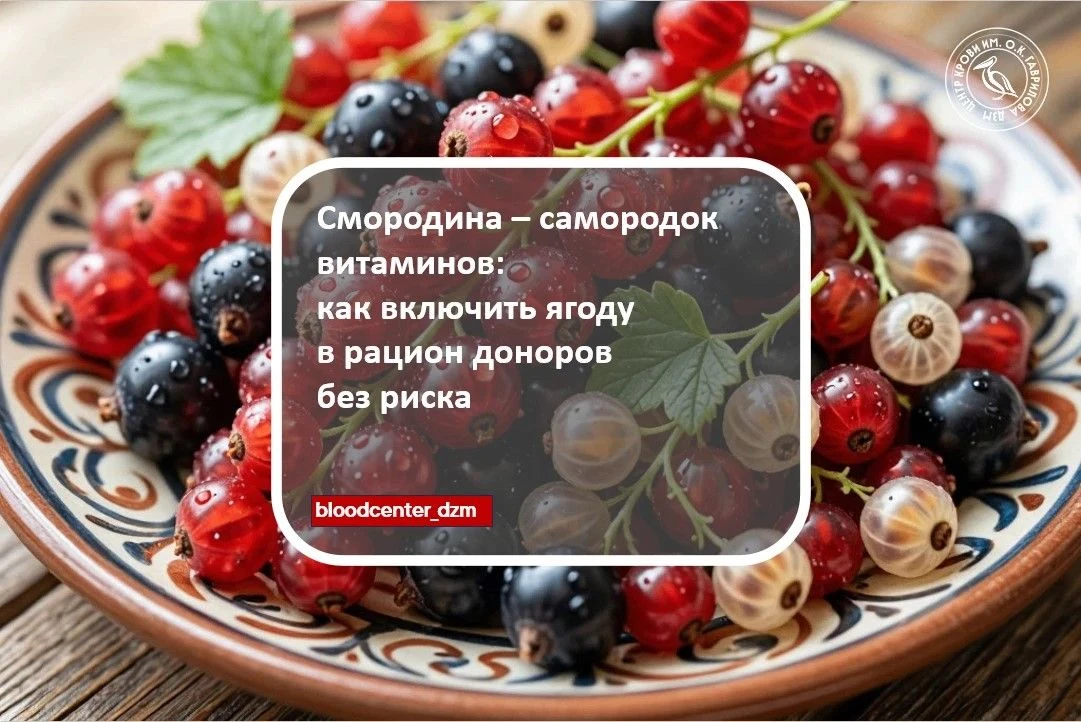 Смородина - самородок витаминов: как включить ягоду в рацион доноров без риска
