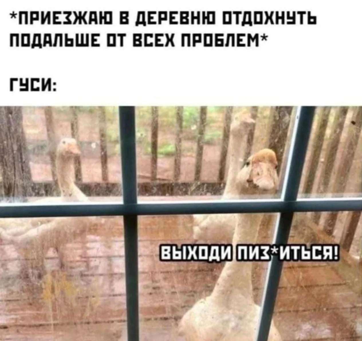 Подпишись на юмор 😂