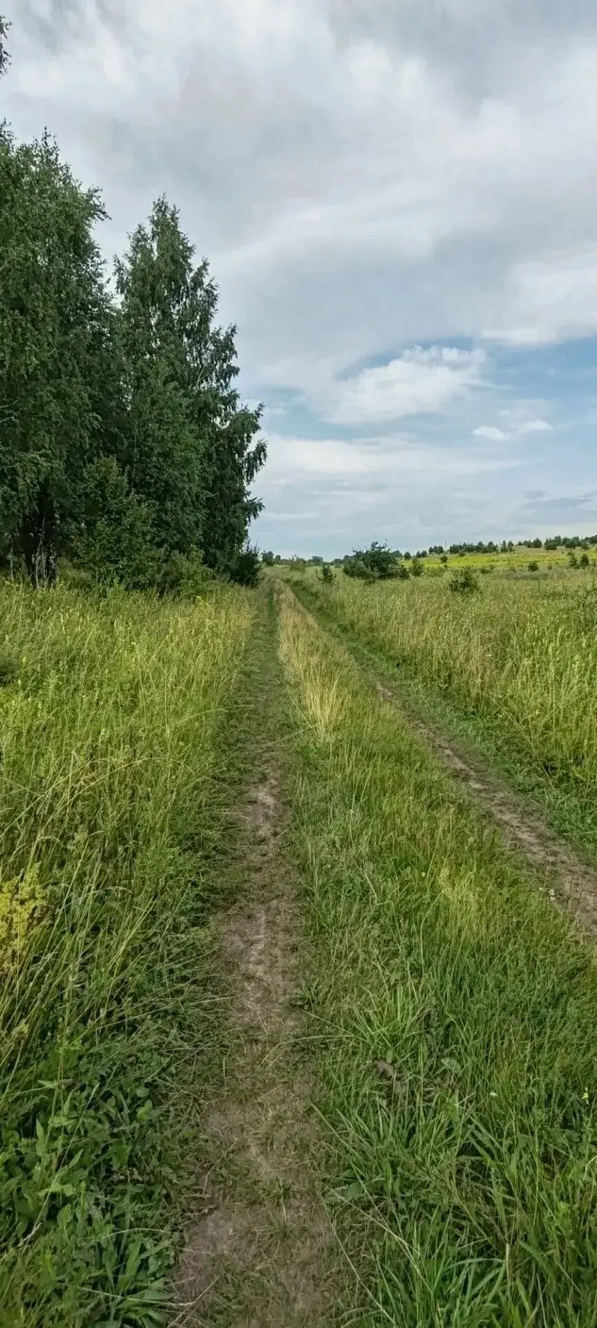 💬"Дорога обратно