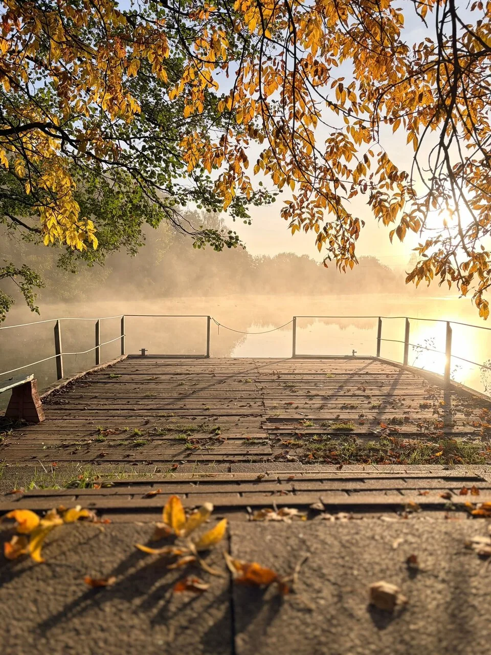 Золотой Сестрорецк