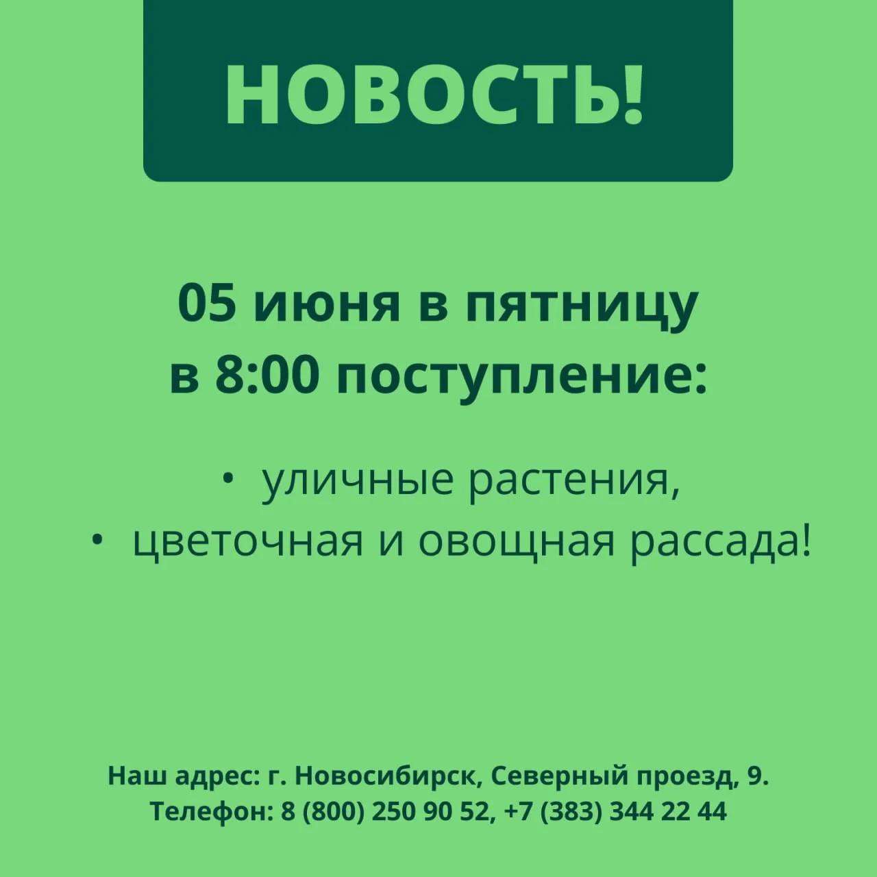 ‼️ НОВОСТЬ: