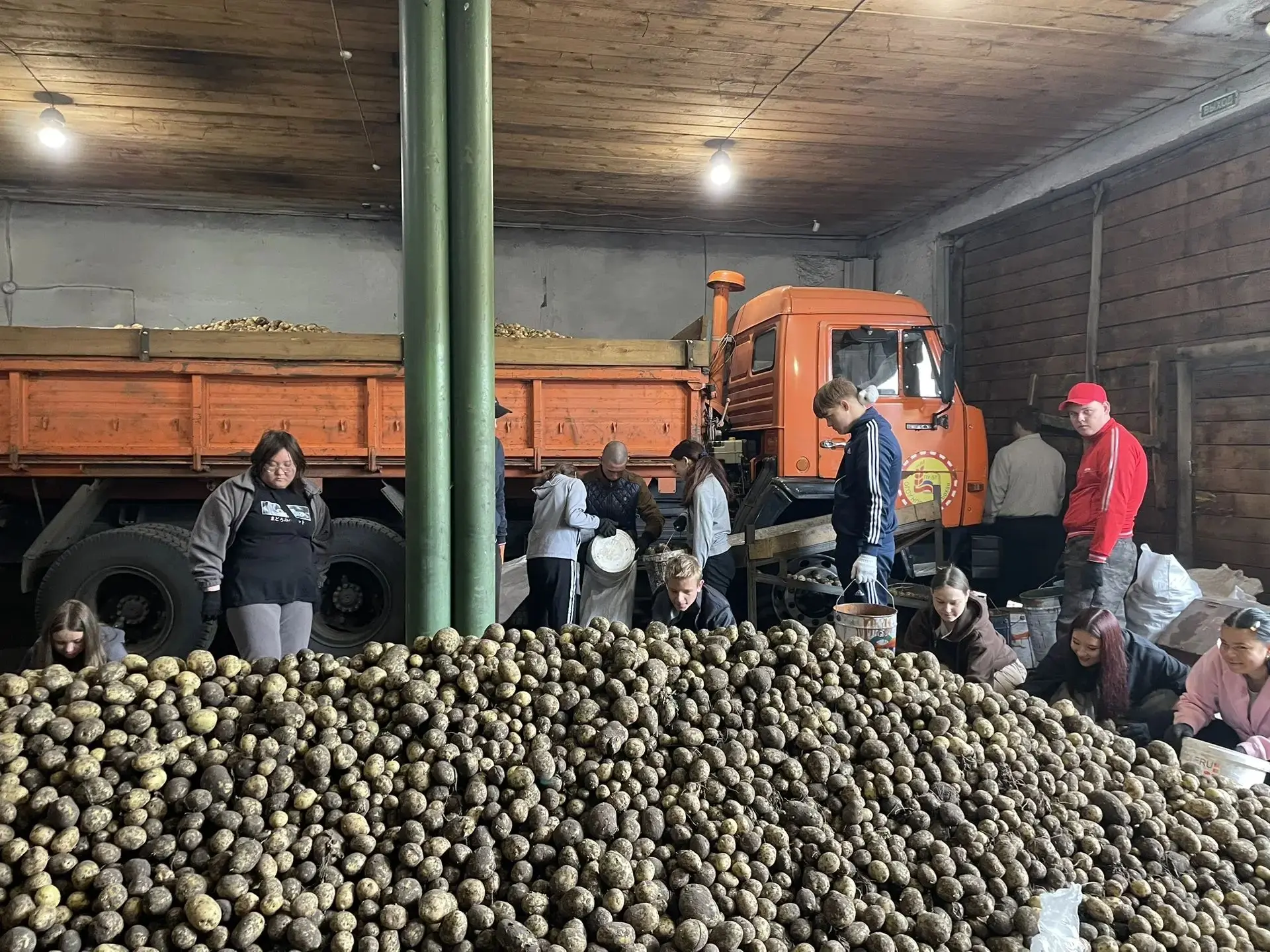 БОЛЬШОЙ УРОЖАЙ—БОЛЬШАЯ РАБОТА! 🥔💪