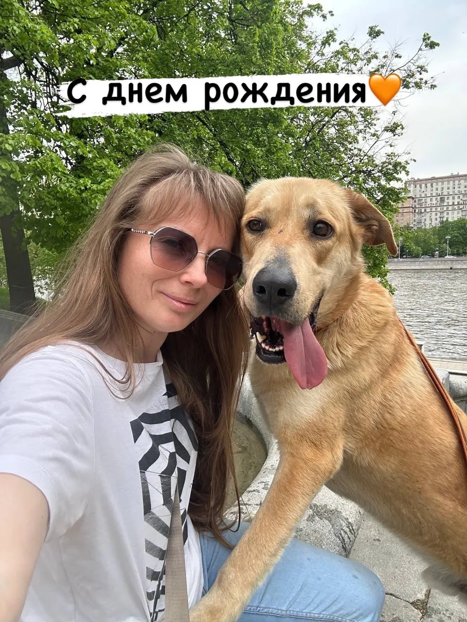 Сегодня мы поздравляем от всего коллектива приюта и его мохнатых подопечных Анастасию с днем рождени
