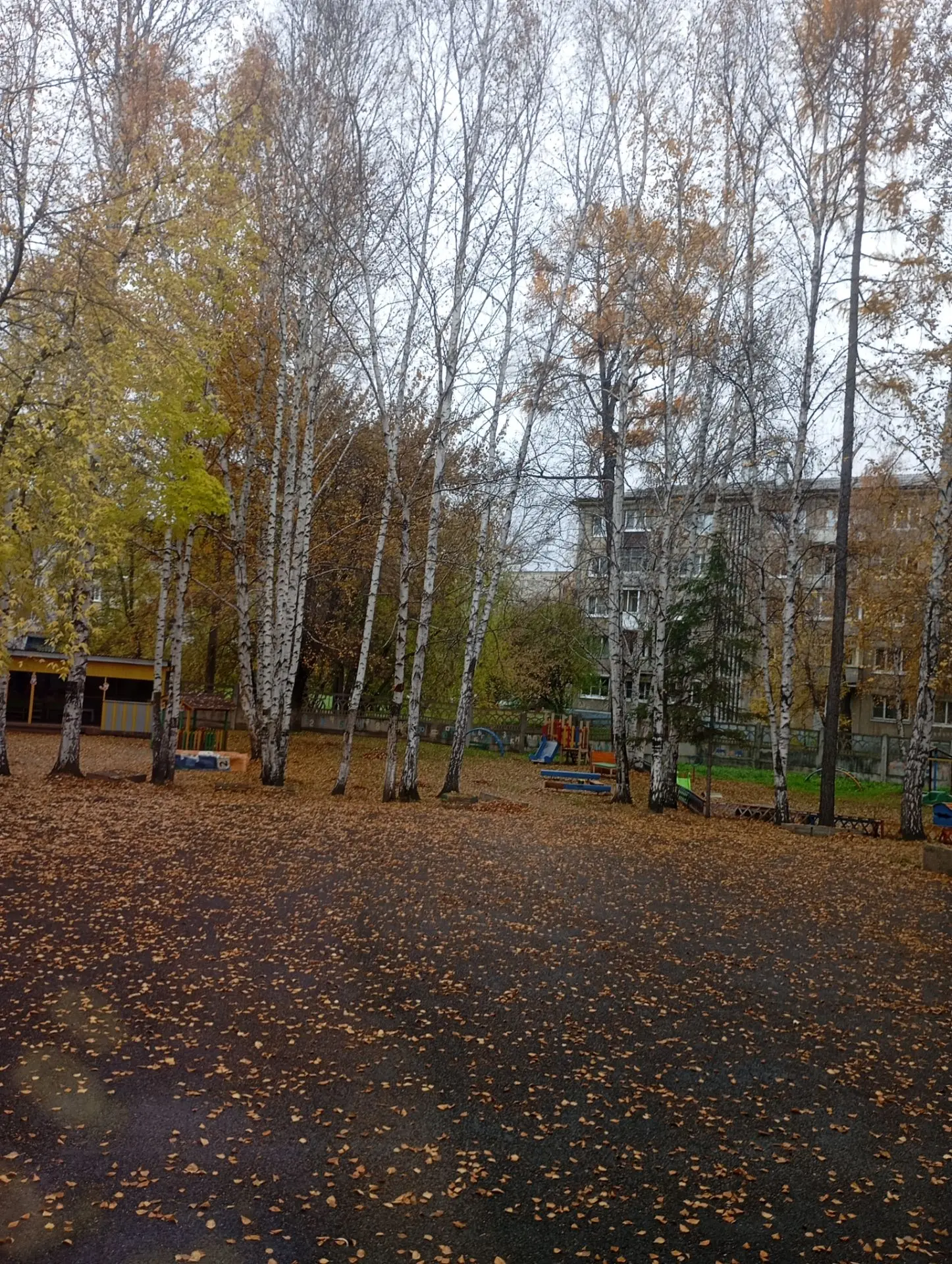 Всем привет, сегодня так пасмурно на улице, в сон клонит ещё и целый день на работе, ну...