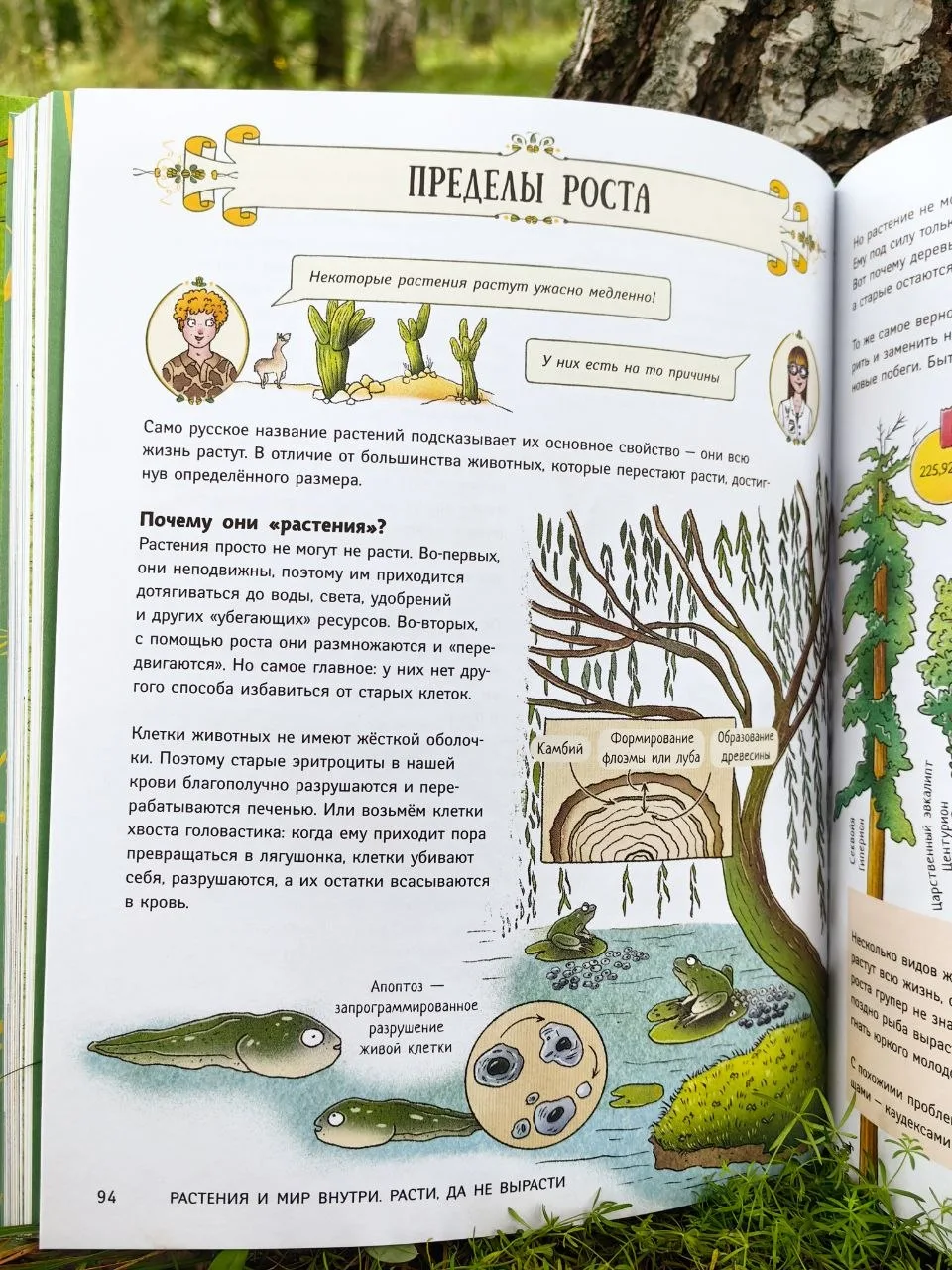 🌿Поведение растений.🥬