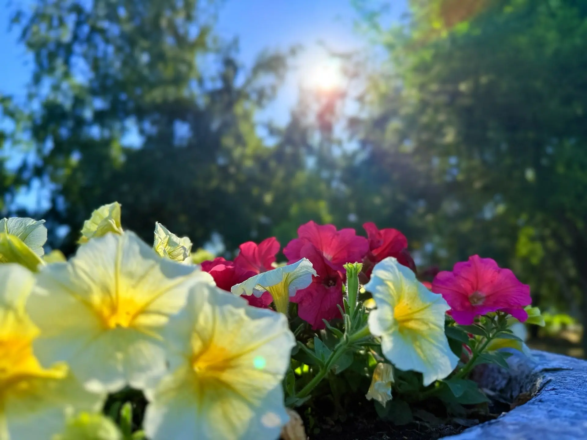 Доброе утро, Бийск!☀️ 

На календаре пятница, завершается рабочая неделя. А это значит, что сегодня 