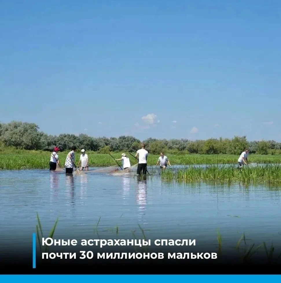 Активисты движения «Голубой патруль» помогают рыбной молоди в отшнурованных водоемах

Под руководств