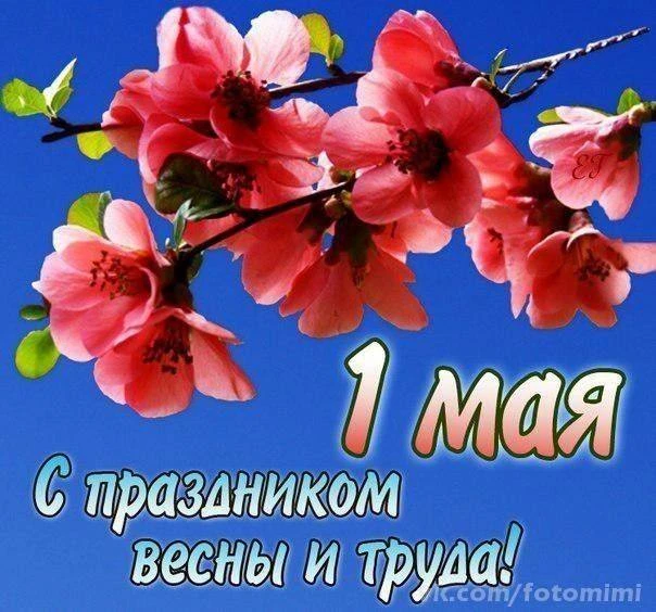 С праздником Весны и Труда!  Поздравляем Вас с 1 Мая – праздником, который объединяет всех, кто свои