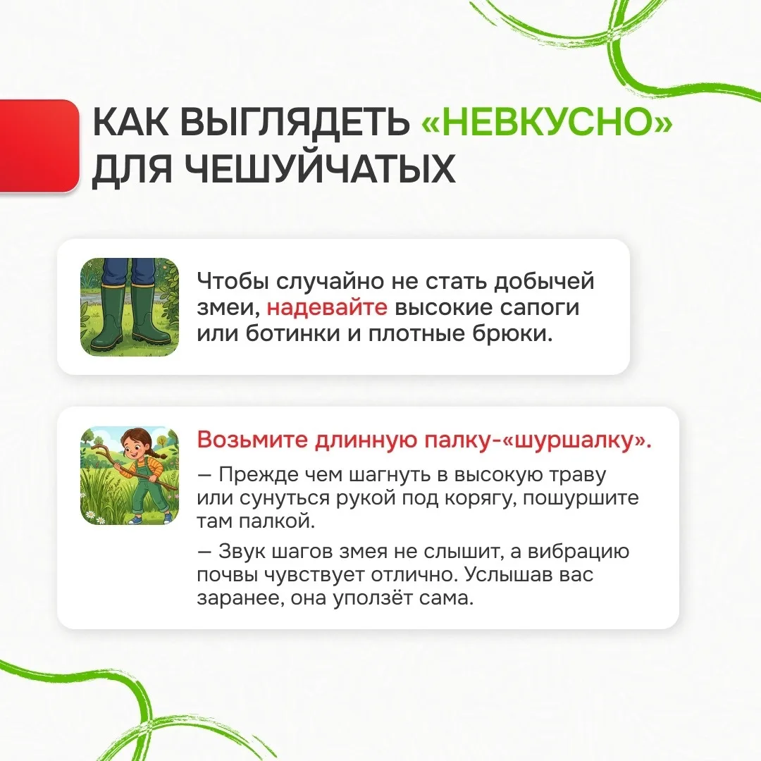 🌲 Лес без происшествий: инструкция для школьников  Лес — отличное место для прогулок, но важно помни