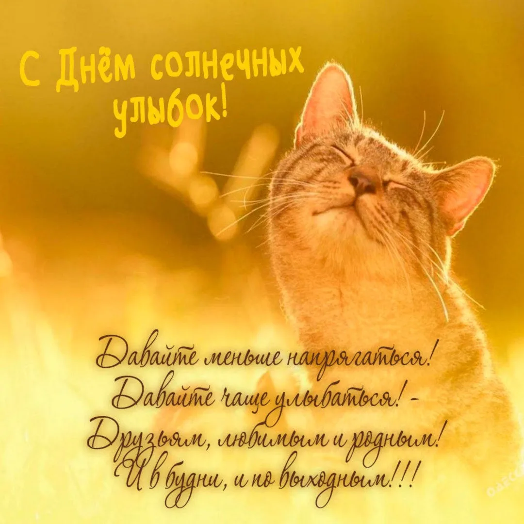 #ПраздникСегодня 😊