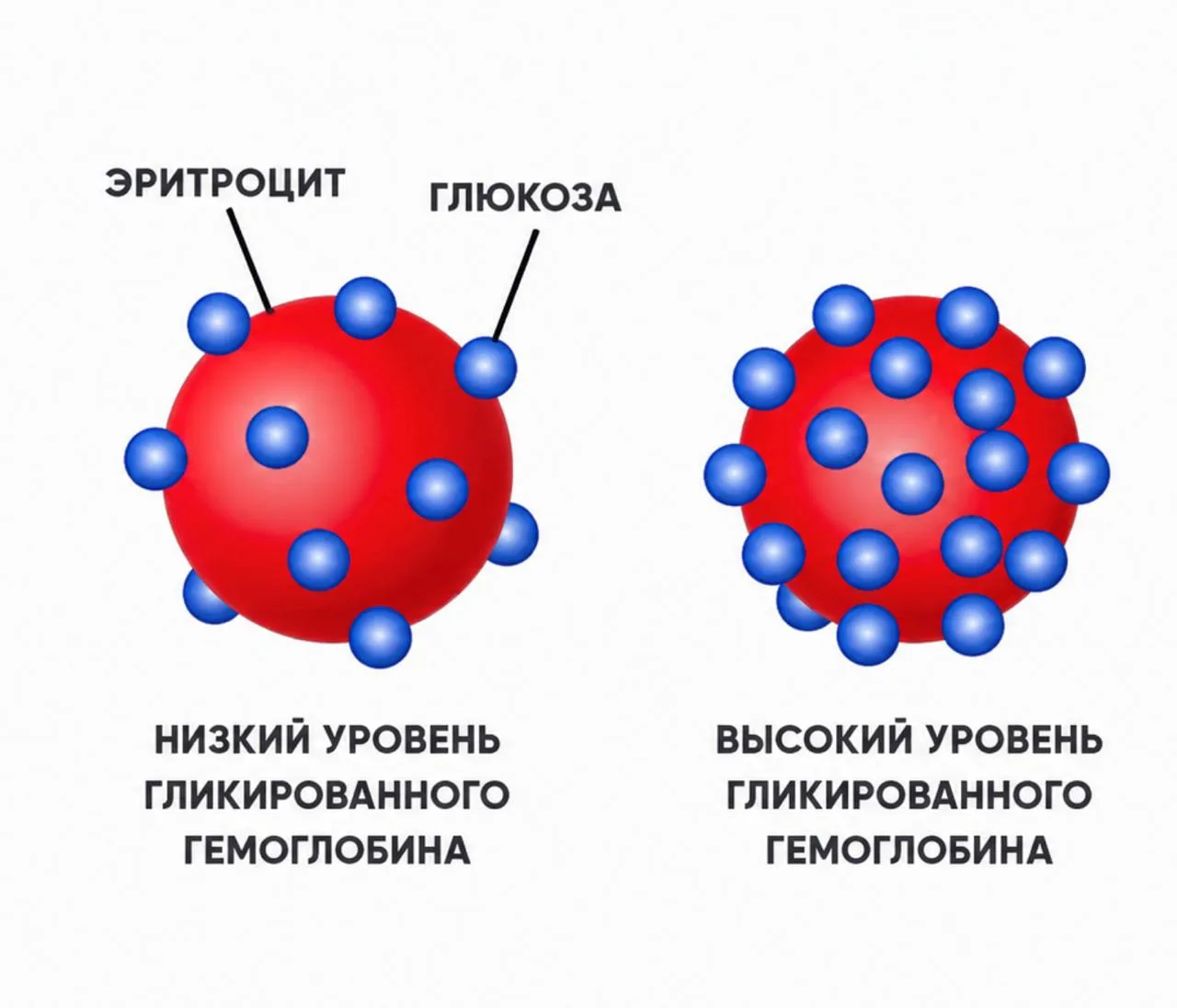 🩺 АНАЛИЗ, КОТОРЫЙ ПОКАЖЕТ ДИНАМИКУ САХАРА В КРОВИ ЗА 3 МЕСЯЦА Рубрика: лайфхаки от врача-эндокриноло