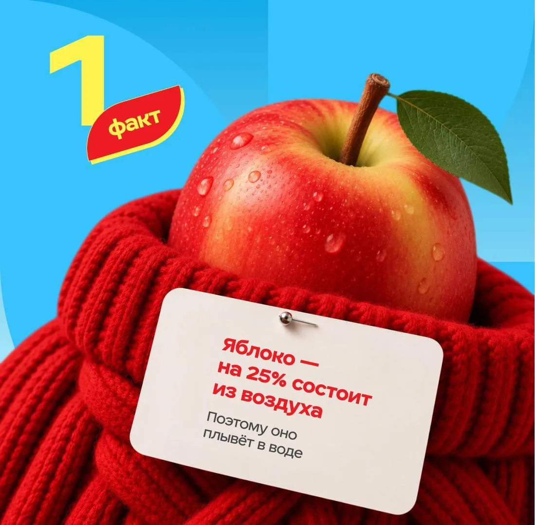 Собрали 5 фактов о сезонных фруктах и ягодах. Один из них — выдумка 🤓

🔎🕵🏻‍♀️ Какой факт кажется