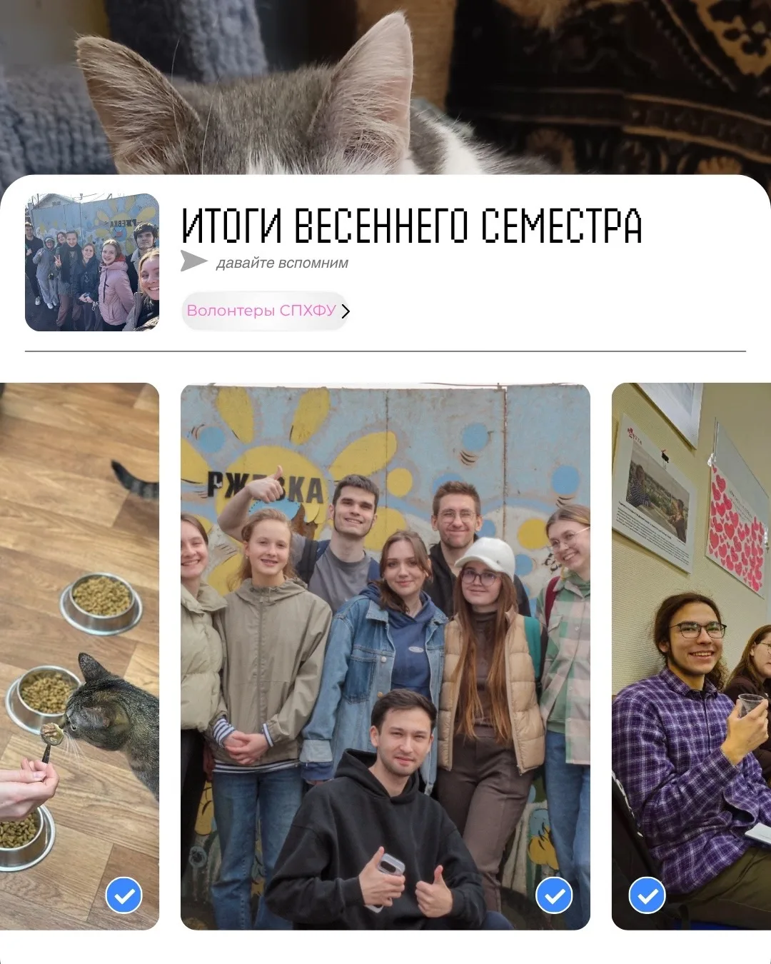 Волонтеры СПХФУ | Весна 2026: Время добрых сердец и важных итогов 🐾💚

Вот и подошел к концу этот н