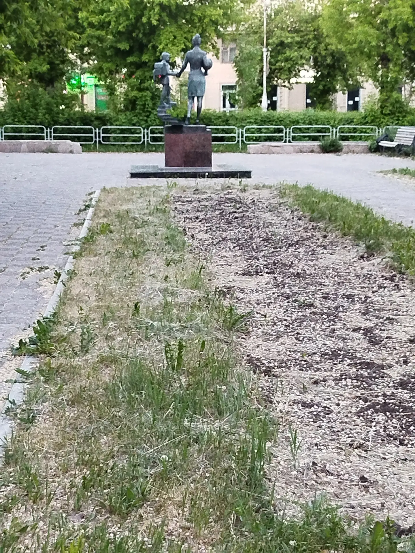 В сквере Ломоносова в пятницу высаживали цветы.некоторые клумбы до сих пор пусты,бедные...