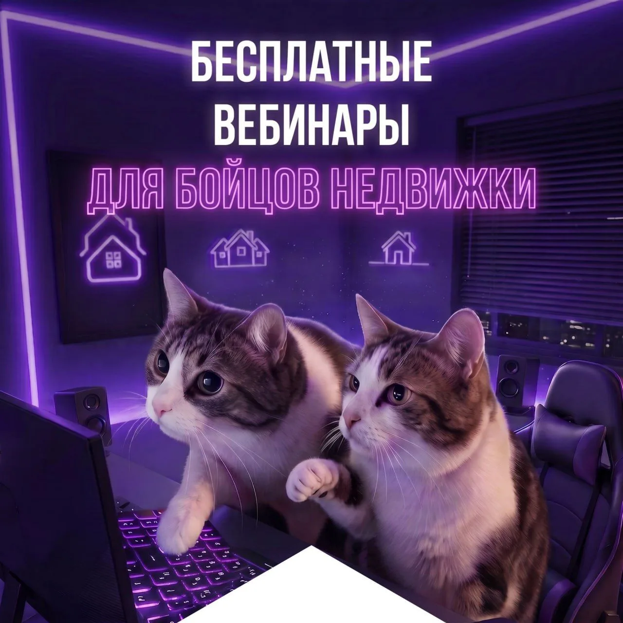 ✅ БЕСПЛАТНЫЕ плюшки для риэлторов и ипотечников