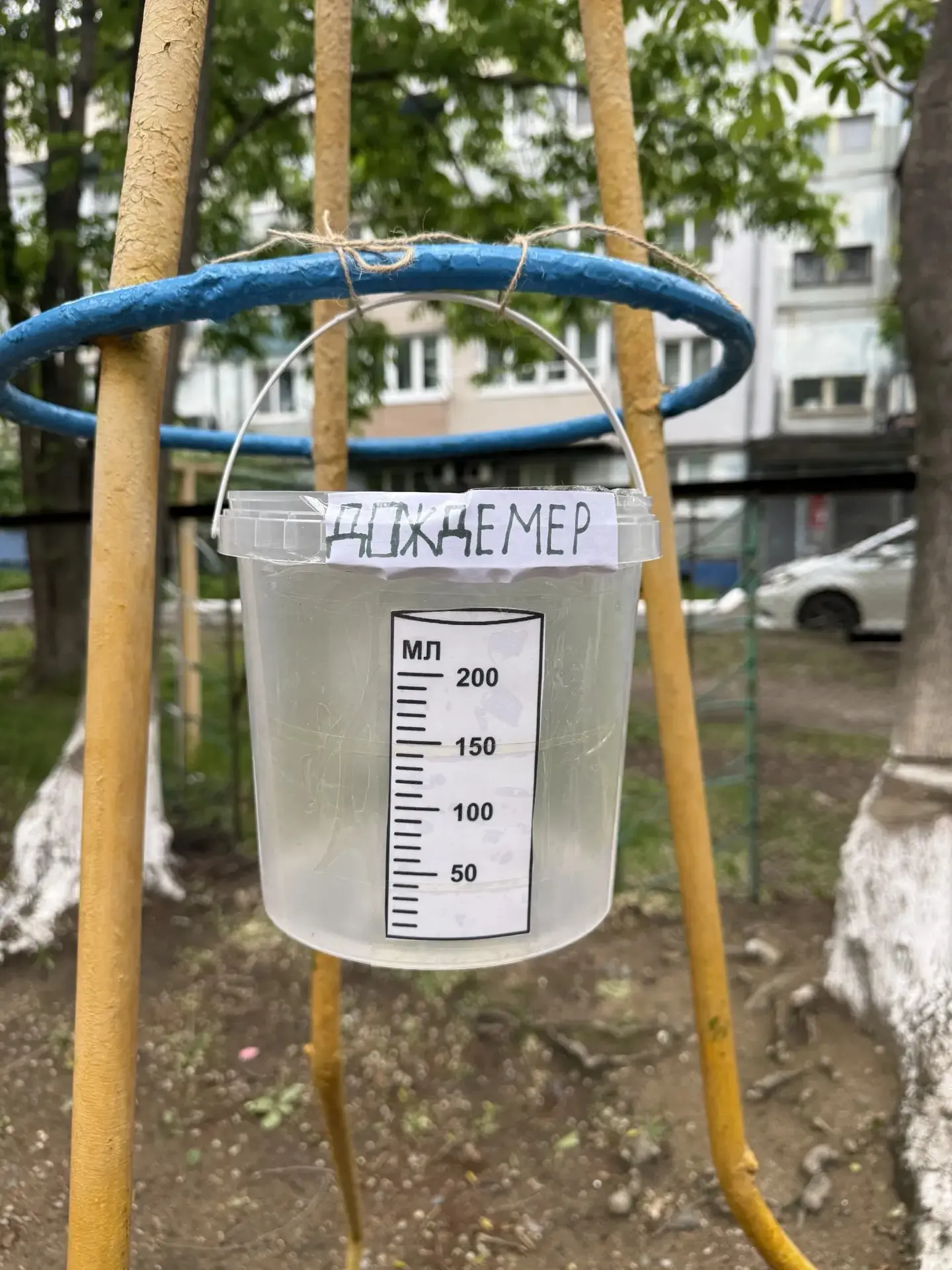 Лето в саду — время маленьких открытий! ☀️🌼
Наши самые маленькие исследователи — вторая младшая гру