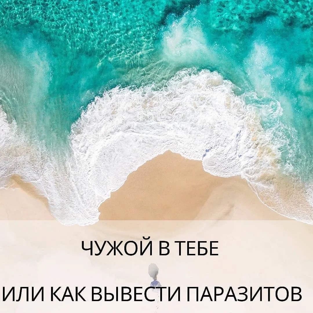 ☀ЛЮБИМОЕ ЛАКОМСТВО ПАРАЗИТОВ – ЭТО ИСКУССТВЕННЫЕ СЛАДОСТИ, КОНФЕТЫ, ПЕЧЕНЬЯ, ПИРОЖНЫЕ, ВАФЛИ, МОЛОКО