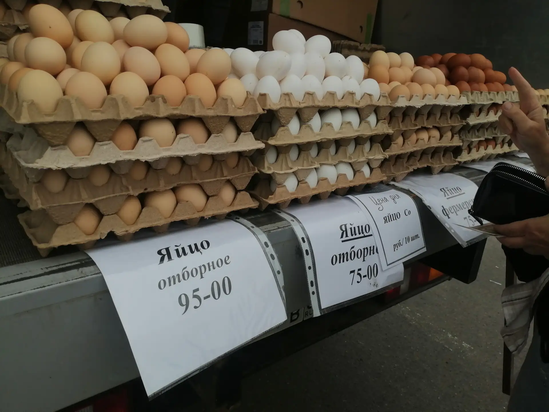 У Стройландии сегодня проходит фермерская ярмарка, выбор продуктов сегодня на любой вкус и цвет! Люд