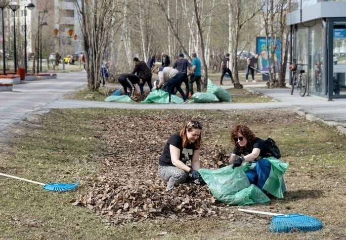 🌳Жители Сургута приняли участие в общегородских субботниках и высадили около 300 деревьев и кустарни