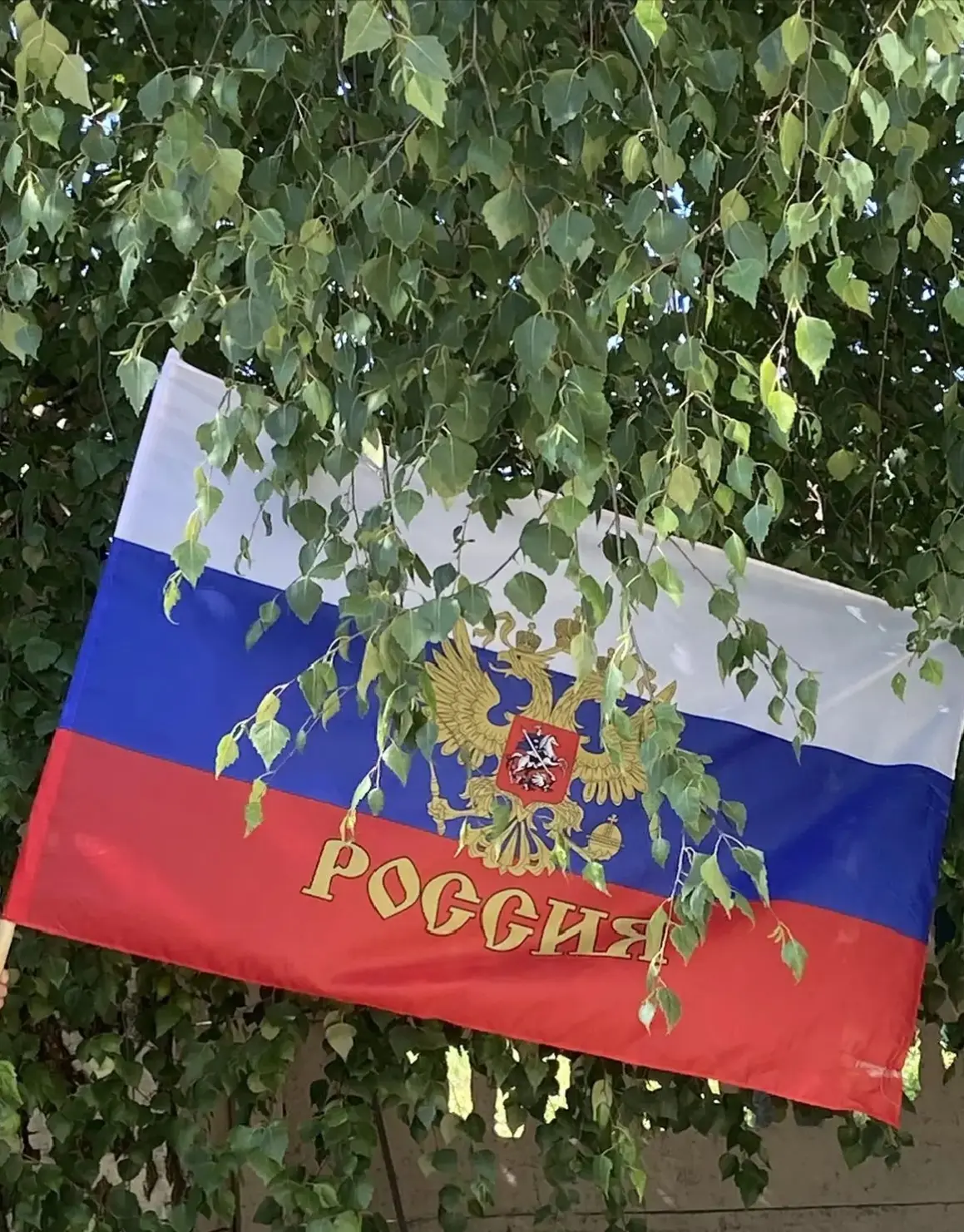 Бескрайние просторы в цветах триколора.