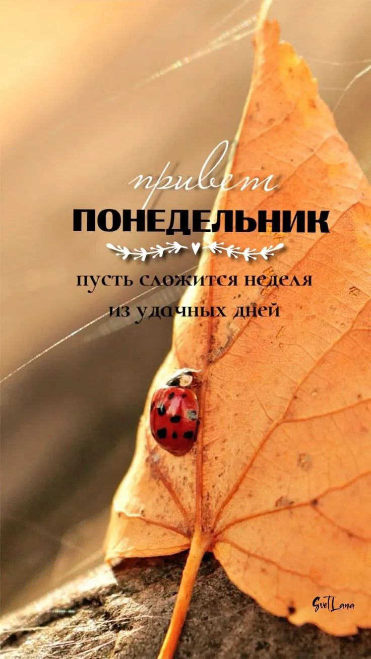 Доброе утро.