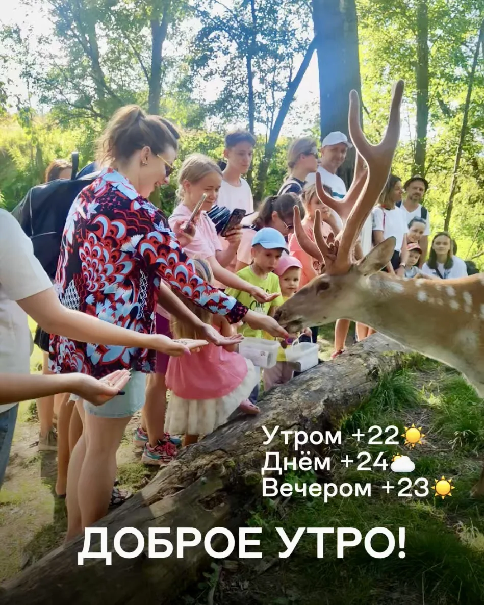 Доброе утро! Гидромет Шихово!
