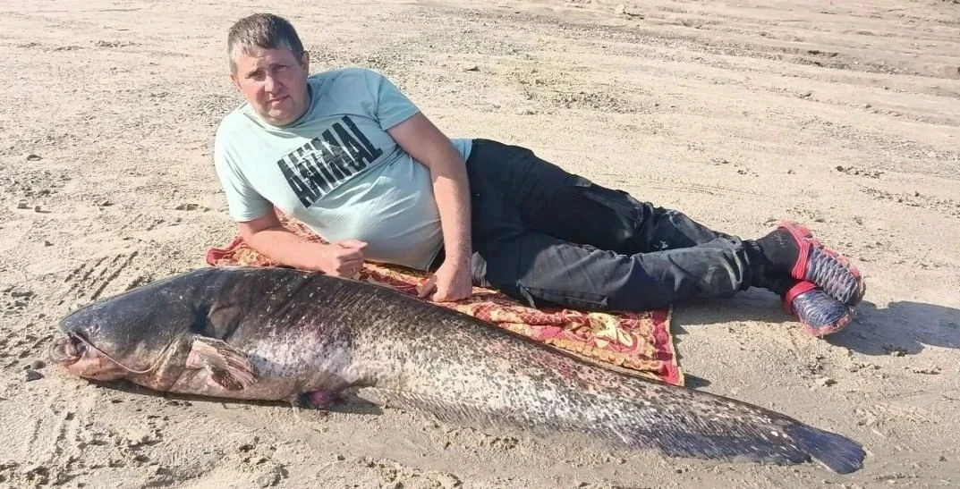 🎣 "Рыбак сделал свое дело - рыбак может отдыхать!"
35-килограммового сома поймал нижегородский рыба