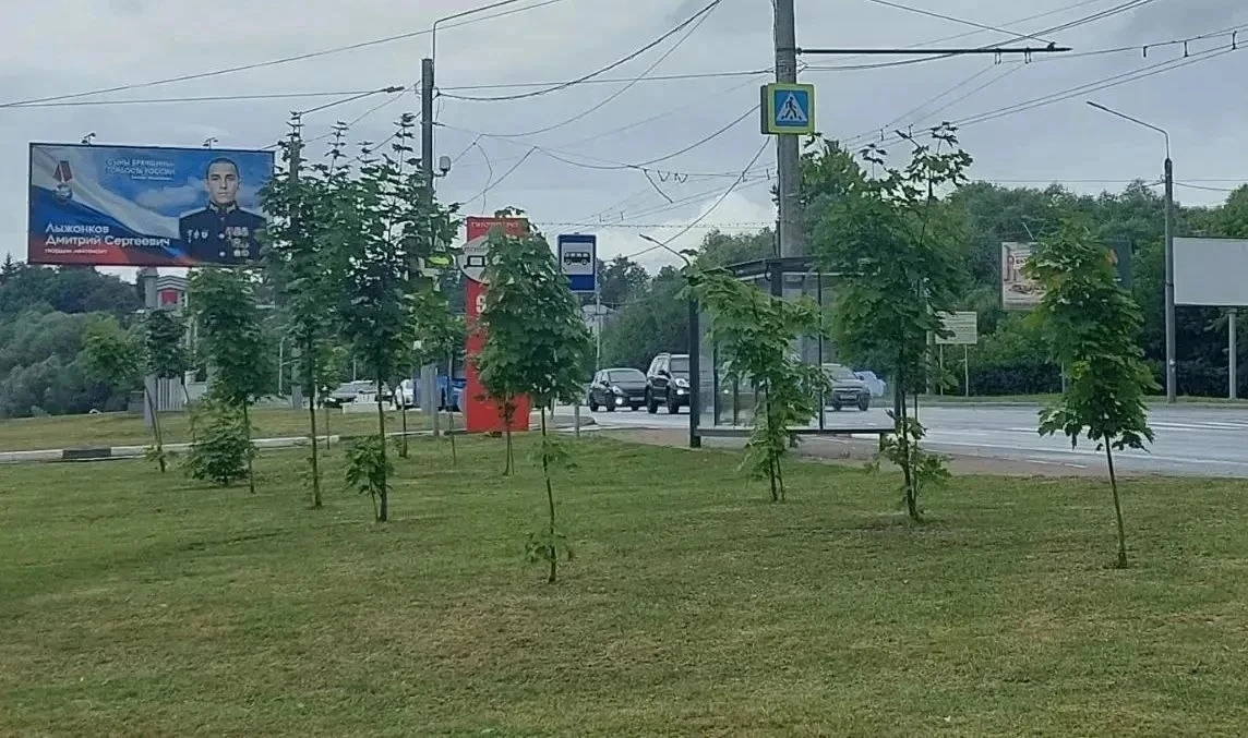 🌳 В Фокинском районе Брянска высадили более 450 деревьев

Фокинская районная администрация завершил