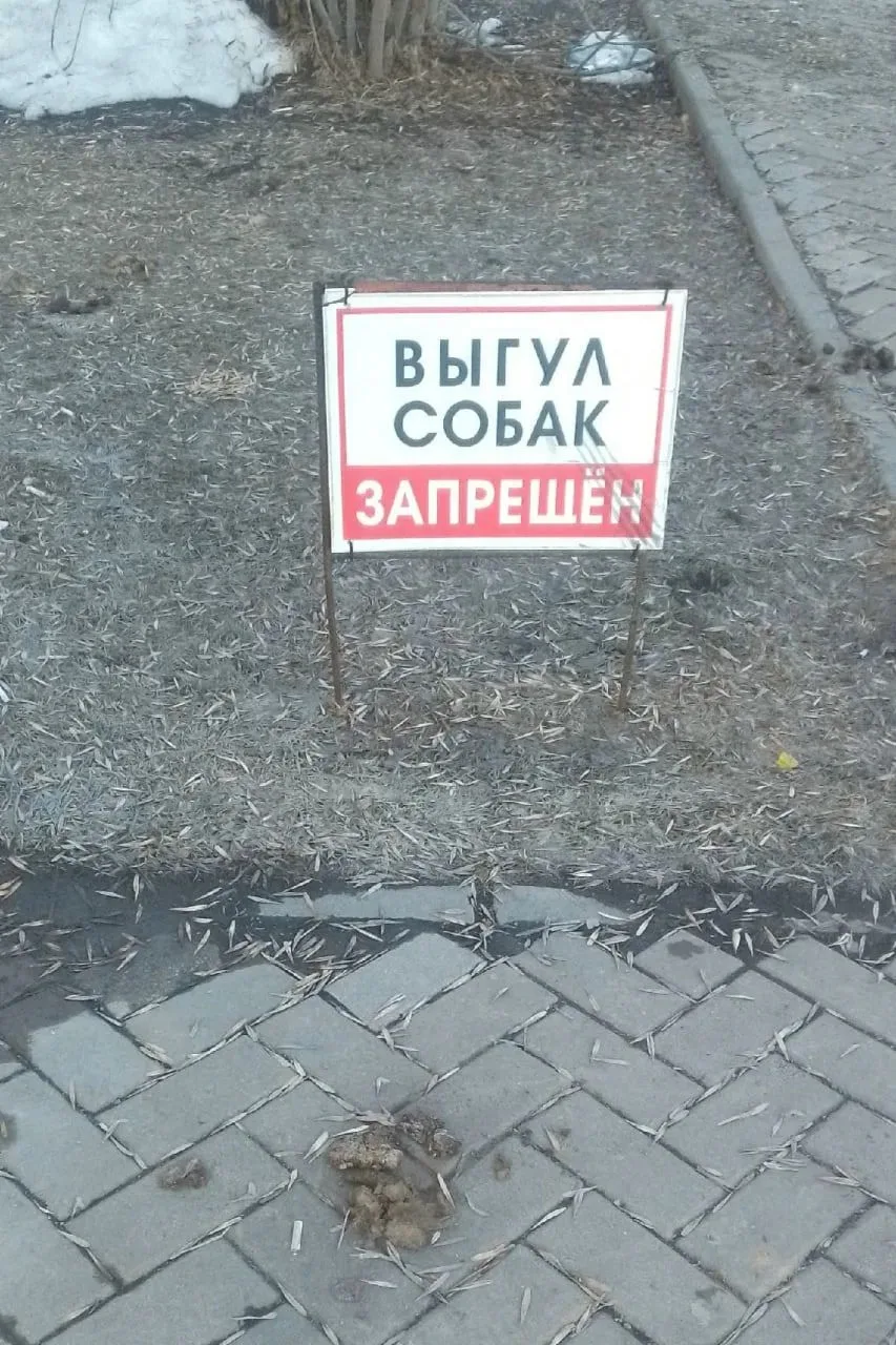 Собачники засрали весь ОбьГЭС - гулять с детьми по улицам уже просто невозможно 😱