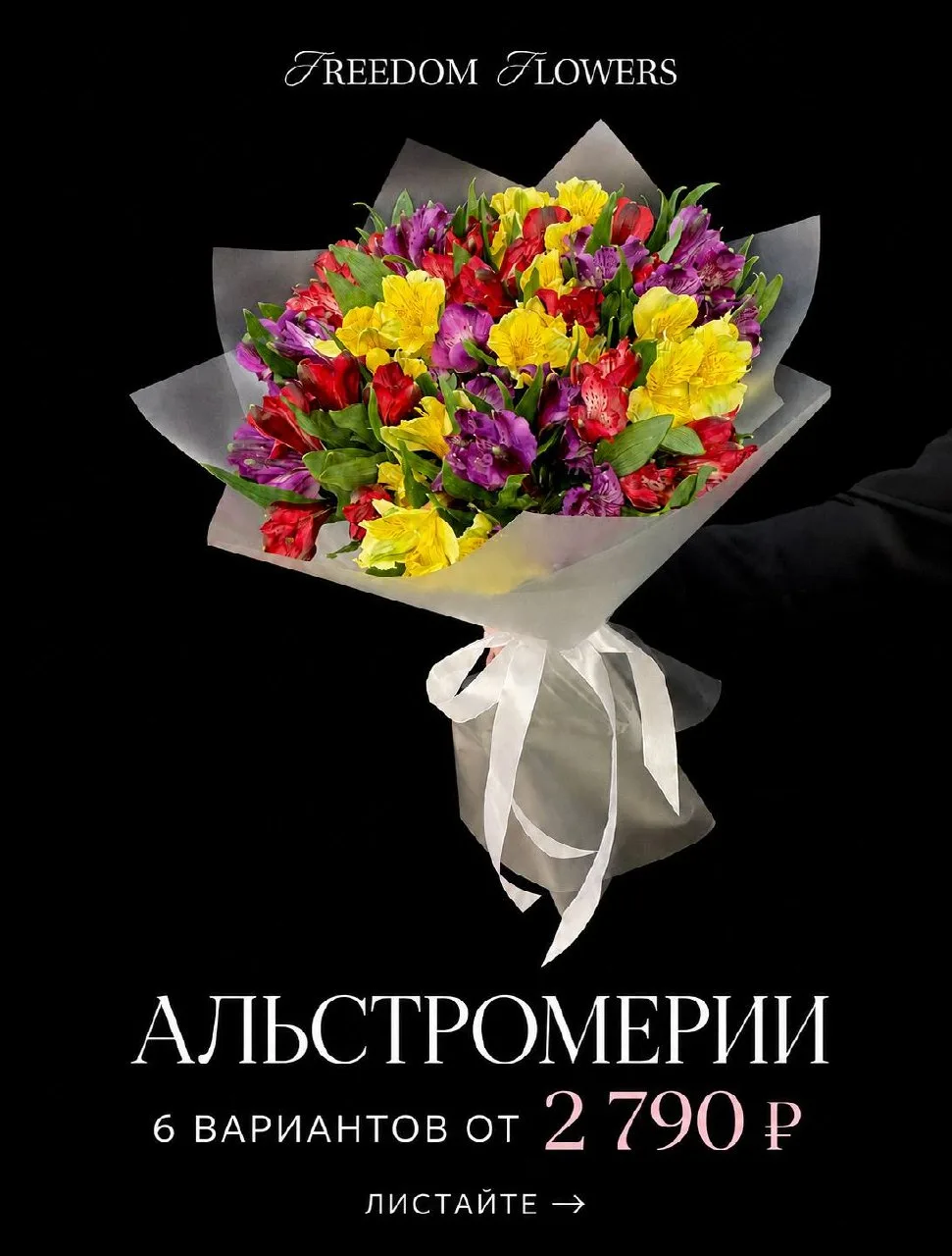 АЛЬСТРОМЕРИИ: 6 вариантов от 2 790 ₽