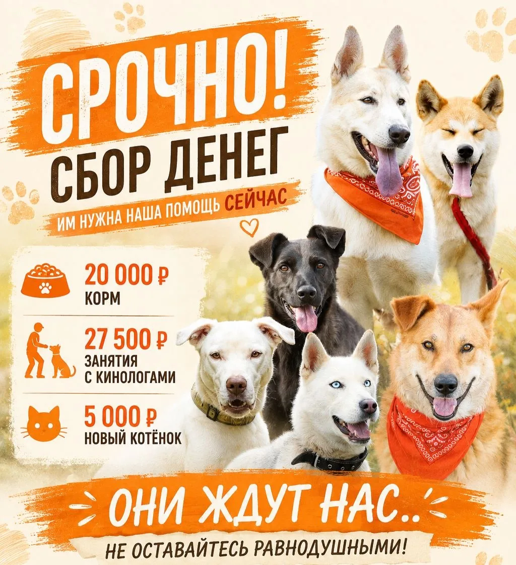 Мы снова вынуждены просить о помощи... 😔