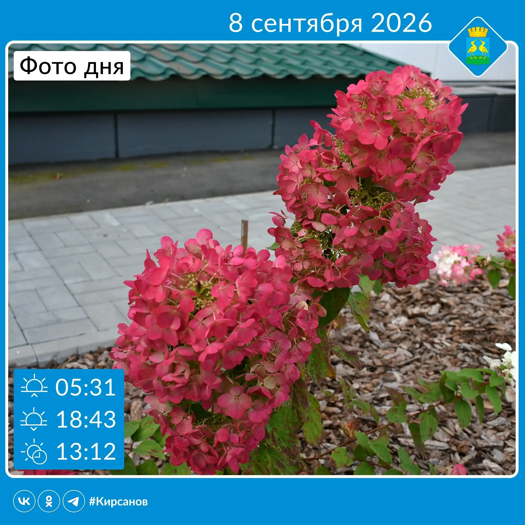 💐Сегодня, 8 сентября, в России отмечают День финансиста! Поздравляем всех работников ф...
