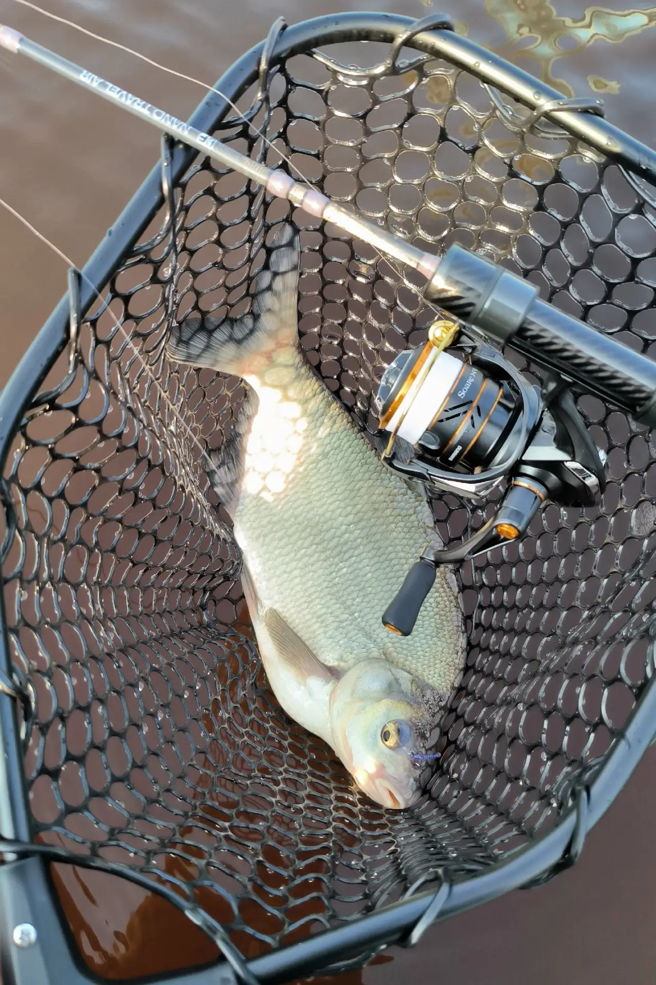 Продам катушку shimano soare xr c2000sspg (без шнура). В идеальном состоянии. Полное от...