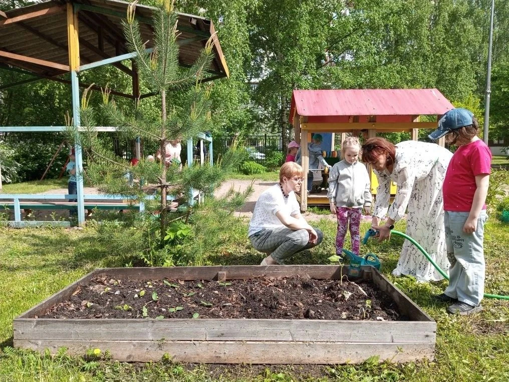 🌿 Чудо-огород на подоконнике в группах «Самоделки» и «Затейники»!