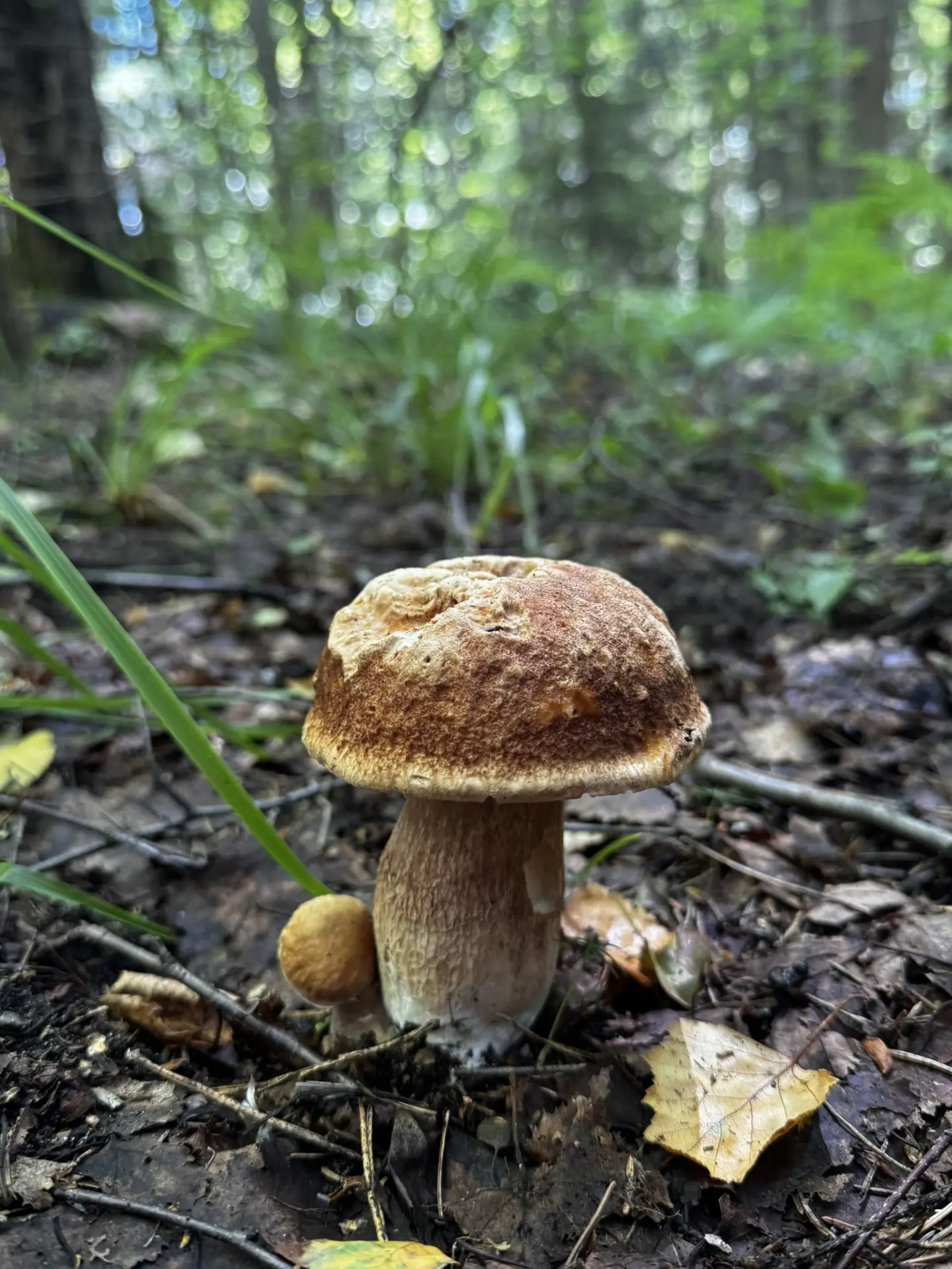 Красавчики!