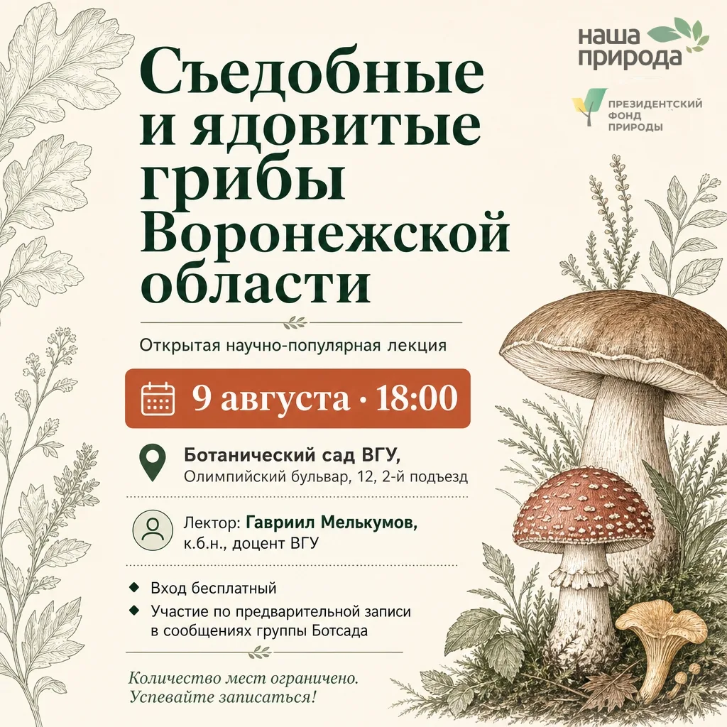 Лекция «Съедобные и ядовитые грибы Воронежской области»