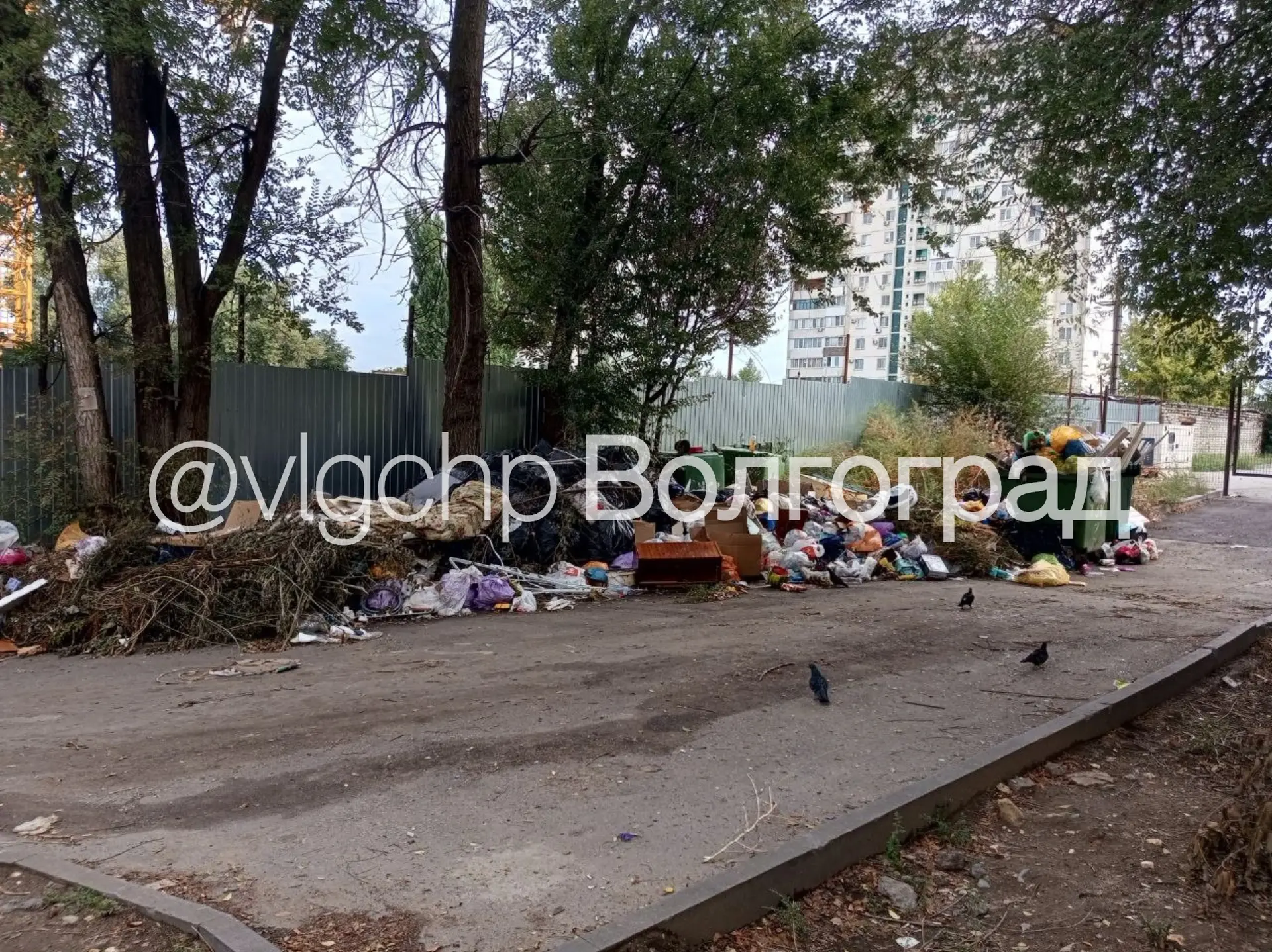 На Дегтярёва, 4 скопилось большое количество мусора, сообщает подписчик.