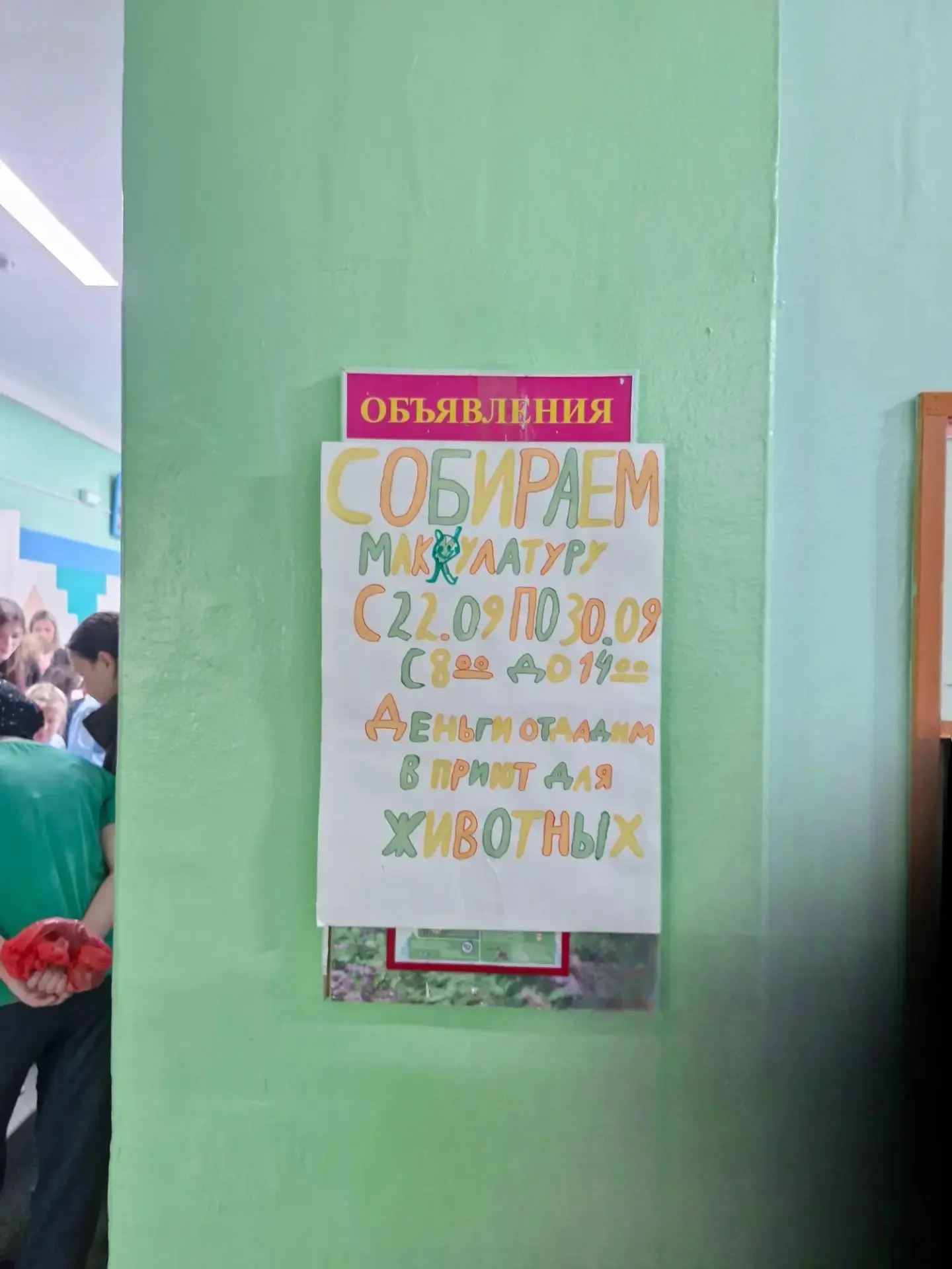 📌В нашей школе завершился сбор макулатуры!