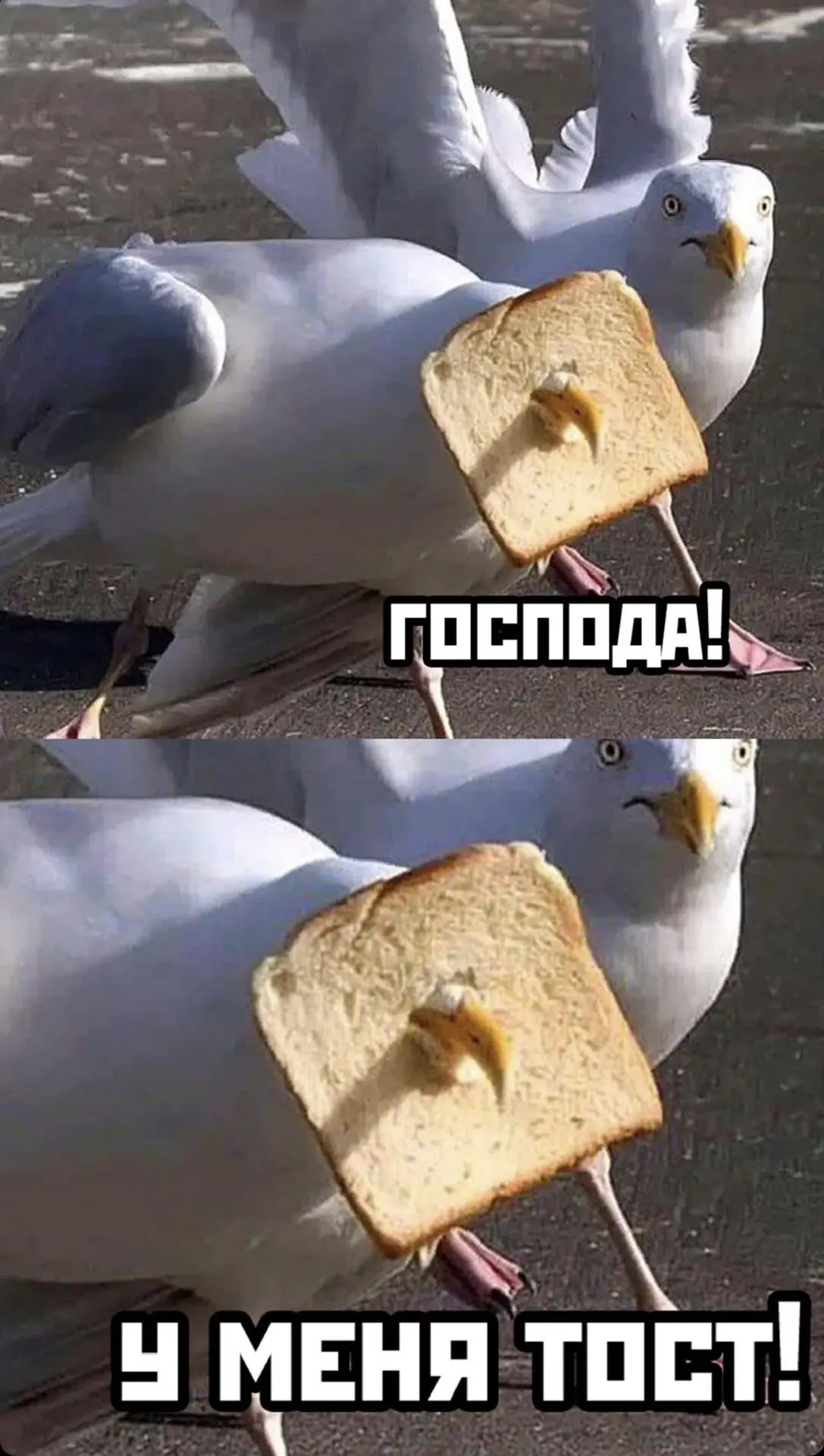 📌НАВИГАЦИЯ📌