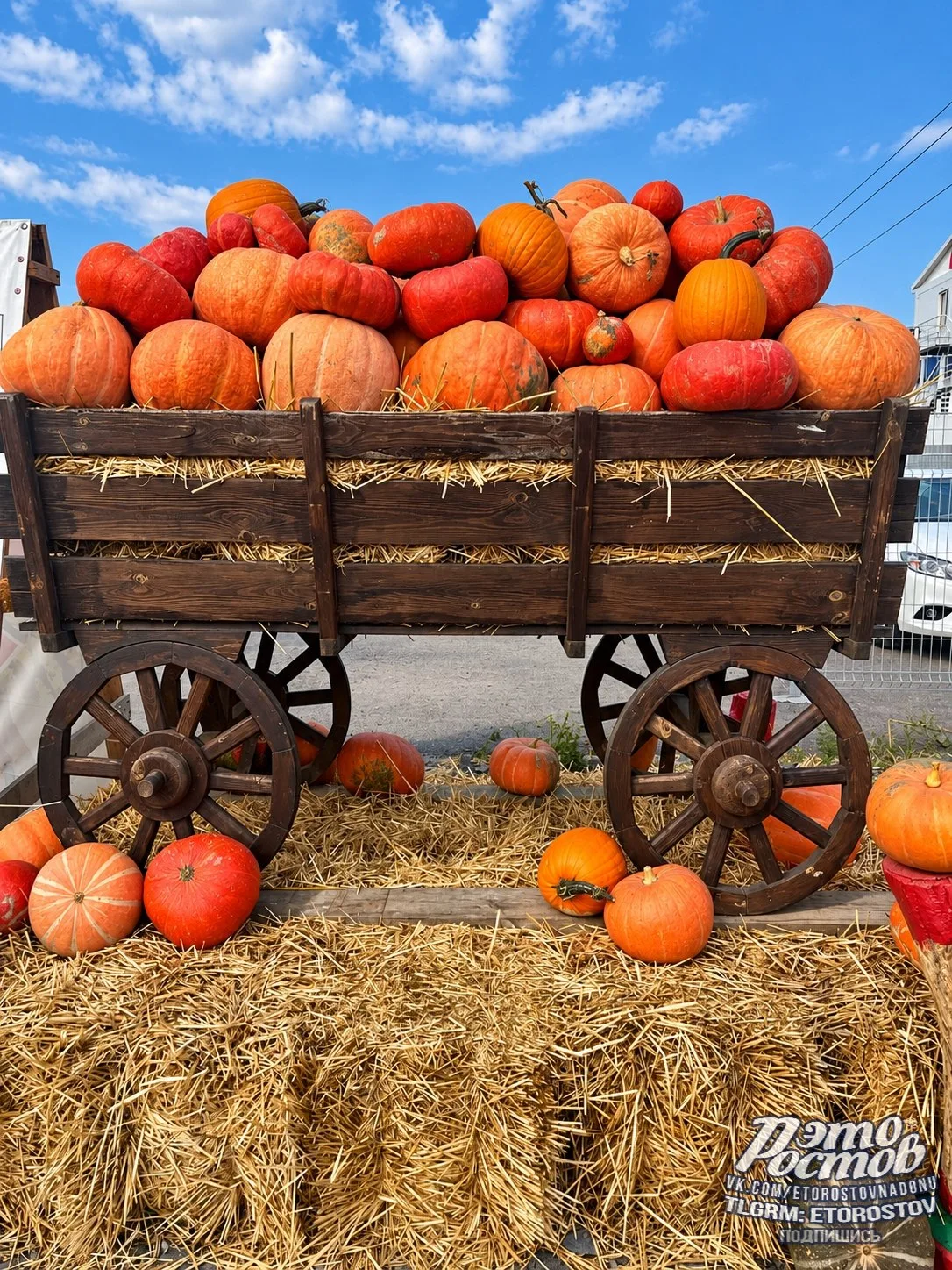 🎃 Тыквенный рай в Ленинаване 😍