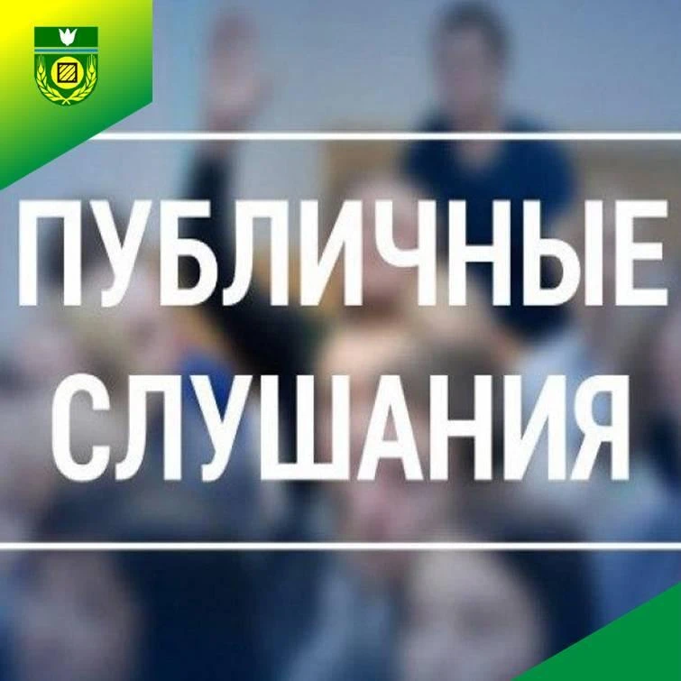 О проведении публичных слушаний по отчёту об исполнении бюджета Надеждинского сельского...
