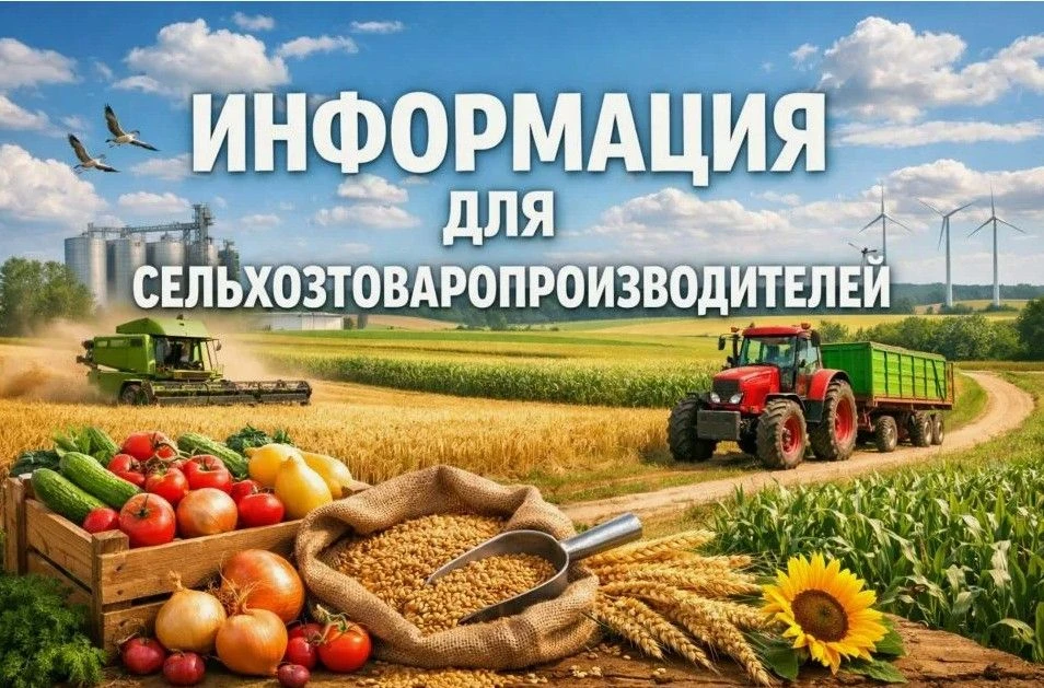 🏡ВНИМАНИЕ !