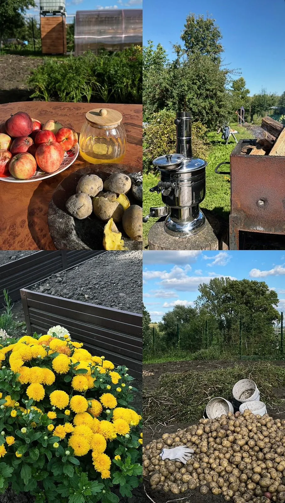 Сентябрь, ты прекрасен!☀️