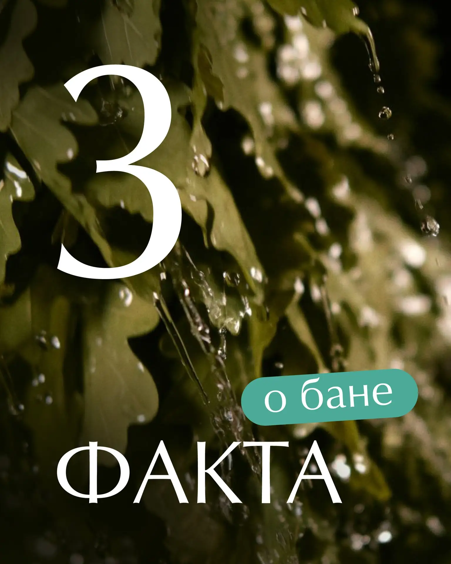 Баня — это не только жар и пар.