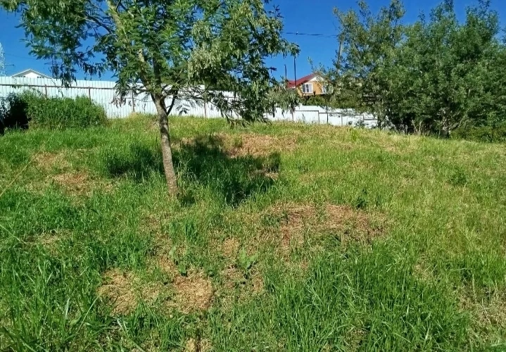 📌г Сочи . Адлеровский район . с Нижняя  Шиловка . Ул Камарова .

Продается  земельный  участок  4,5