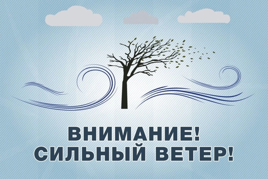 📌В Алтайском крае ожидается усиление ветра, мокрый снег и гололёд  🌪️Сегодня, 12 мая, и ночью 13 мая