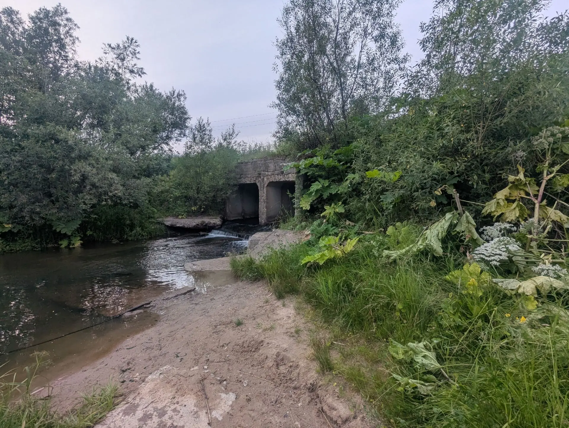Сегодня ездила полоскать бельё на речку Паленьгу под мост.